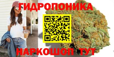 молекула духа Камышлов