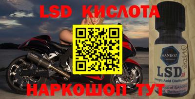 молекула духа Камышлов