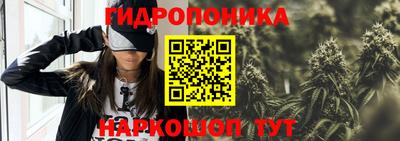 скорость Кандалакша
