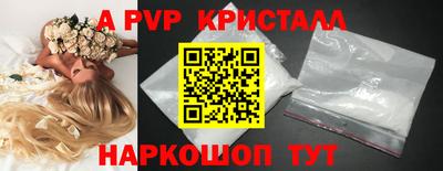 молекула духа Камышлов