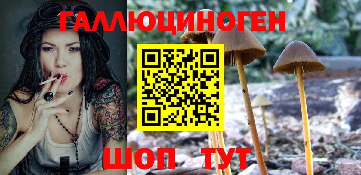 Галлюциногенные грибы MAGIC MUSHROOMS Воркута