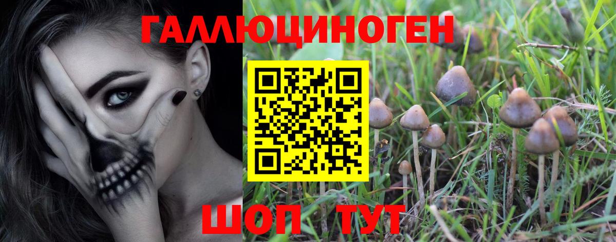 Галлюциногенные грибы мухоморы  Галлюциногенные грибы прущие грибы  Вход с VPN  Воркута 